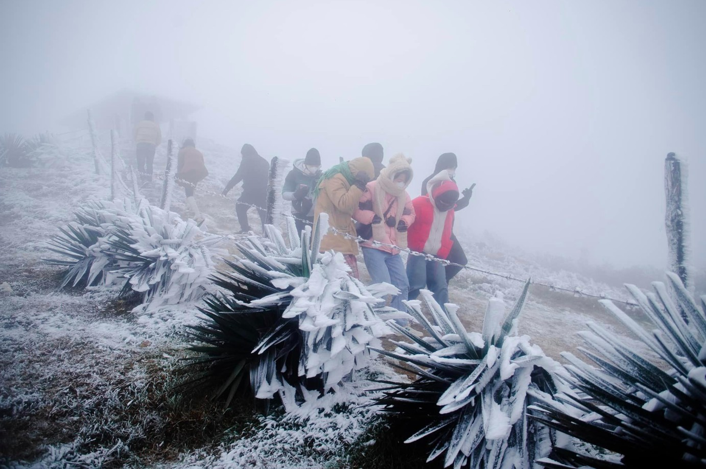 Miền Bắc rét đậm, rét hại, thấp nhất 3 độ C, có thể xuất hiện băng giá